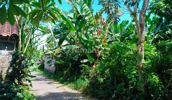 3 acre land for sale in Ungasan residential area 1