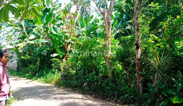 3 acre land for sale in Ungasan residential area 2