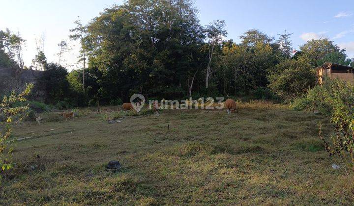 Land for Lease in Ungasan 1