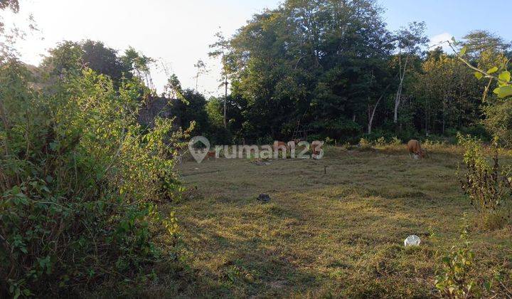 Land for Lease in Ungasan 2