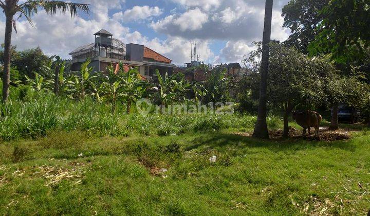 Strategic Land for Lease in Tuban  2