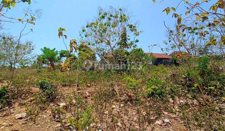 Tanah Strategis Harga Murah di Ungasan Cocok Untuk Villa PD  1