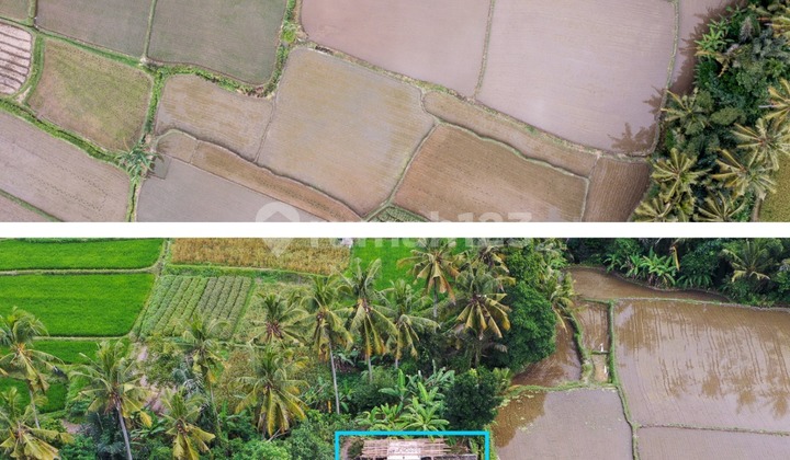 Tanah Strategis di Singapadu, Gianyar TT