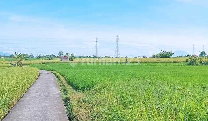Strategic Land Suitable for Villas in Munggu Min. 30 Years AG Strategic Land Suitable for Villas in Munggu Min. 30 Years AG