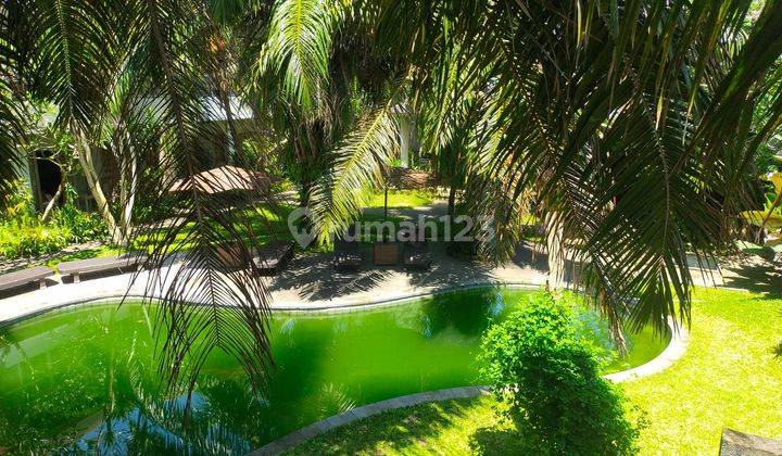 Guesthouse Strategis di Lodtunduh, Lingkungan Asri View Sawah TT 1