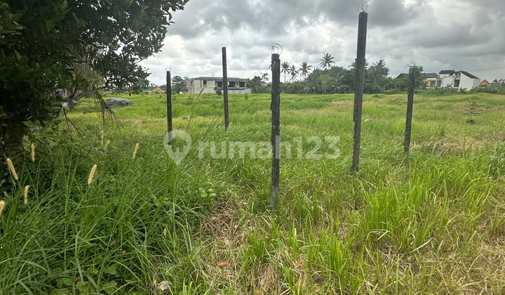 Tanah View Sawah Harga Murah Siap Bangun Villa 