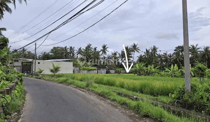 Tanah Sewa Murah Central Ubud View Sawah Hutan Sungai  1