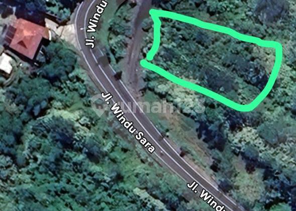 Disewakan Tanah di Penelokan Kintamani Pinggir Jalan Besar