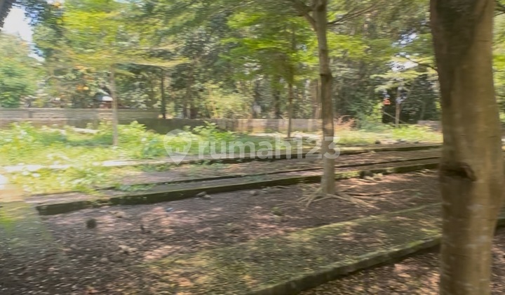 Tanah Murah Mas Ubud Cocok Kavling Villa Atau Investasi Tanah Murah Mas Ubud Cocok Kavling Villa Atau Investasi