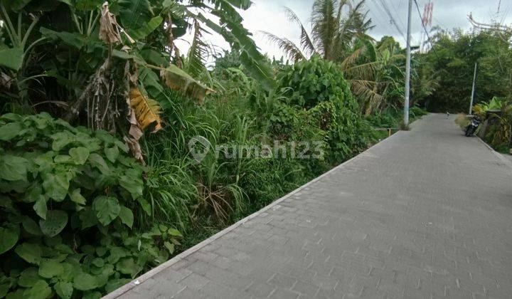 TANAH ZONA KUNING SIAP BANGUN VIEW SAWAH  1