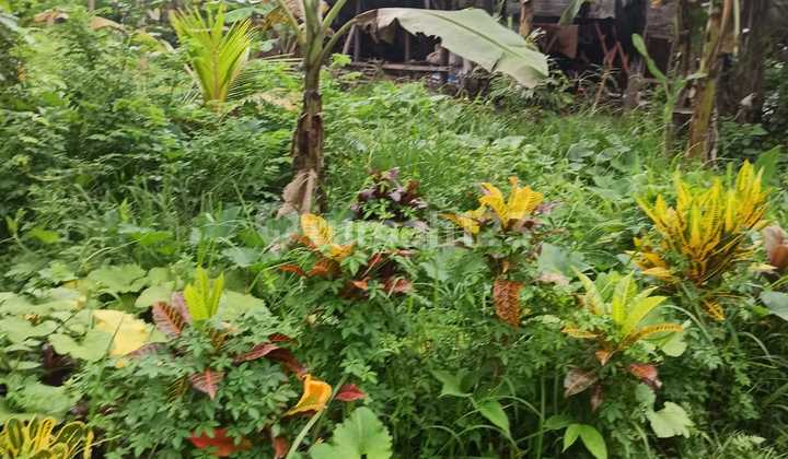 Land For Private Villa With Very Peaceful Rice Field View