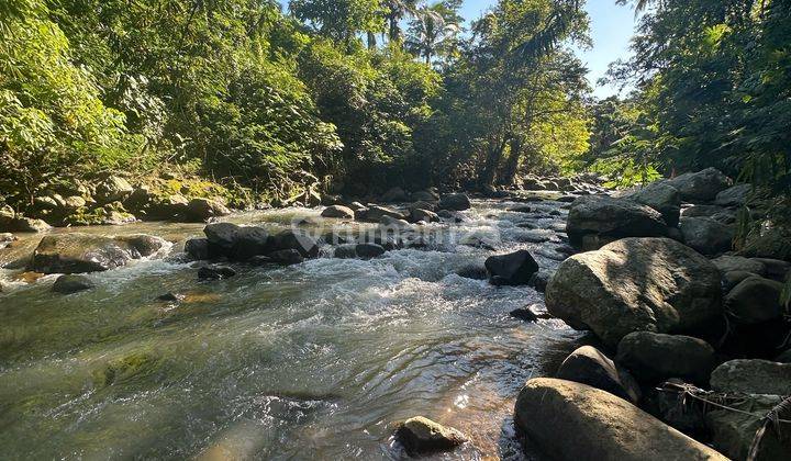 65 Jt/are Dapat Tanah Jalan Utama View Sungai Hutan Keren 1