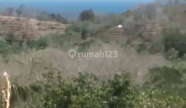 LAND OCEAN VIEW BULELENG SUITABLE FOR INVESTMENT 2