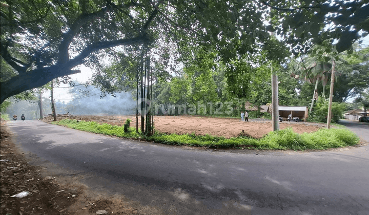 Tanah Pinggir Jalan Besar View Hutan Siap Bangun Villa 1