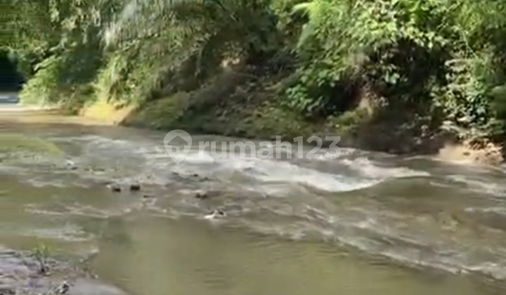 Tanah Los Sungai Ayung Zona Kuning Siap Bangun Villa