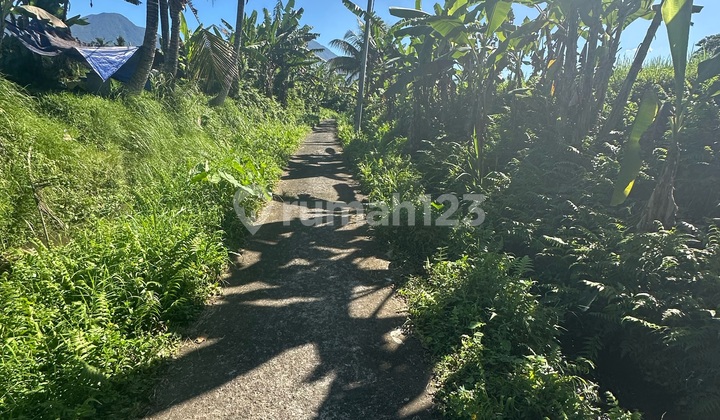 Tanah View Laut Gunung Hutan Sawah Super Cantik  2