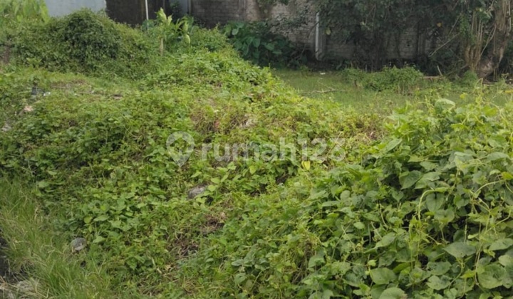 Tanah Zona Kuning Munggu Cocok Villa Rental Tanah Zona Kuning Munggu Cocok Villa Rental