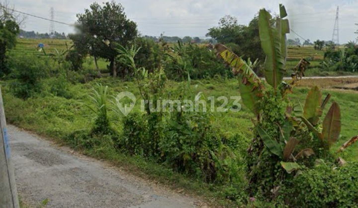 Tanah Zona Kuning View Sawah Untuk Vila Rental 