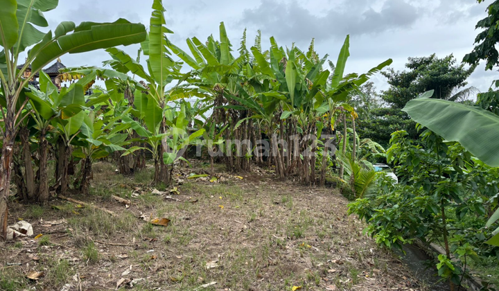 Tanah Zona Kuning Siap Bangun Harga Murah