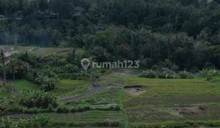 LAND ZONE PINK VIEW RICE FIELDS SUITABLE FOR VILLA RENTAL 1