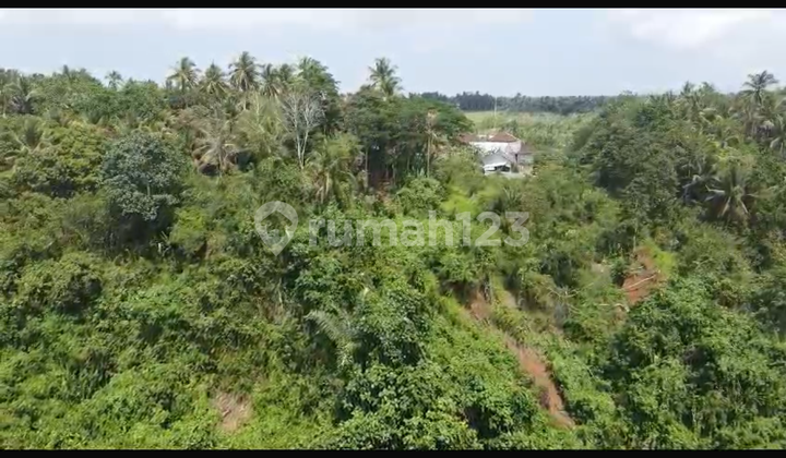 Land for Farming Plantation Factory at Low Price Near City Land for Farming Plantation Factory at Low Price Near City