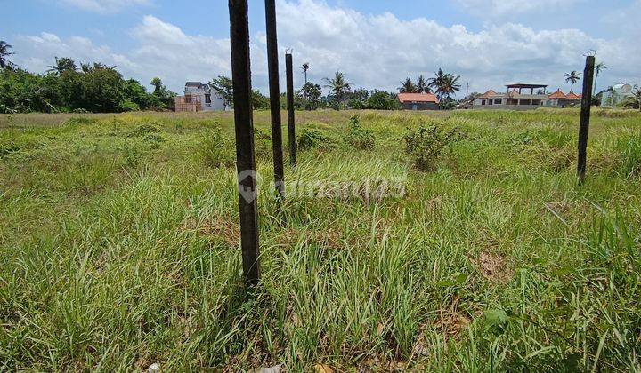 TANAH VIEW SAWAH PINGGIR JALAN ASPAL COCOK RESTORAN DAN VILLA 2