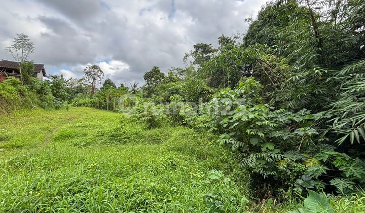 Tanah Murah View Sungai Hutan Keren Cocok Vila Resort