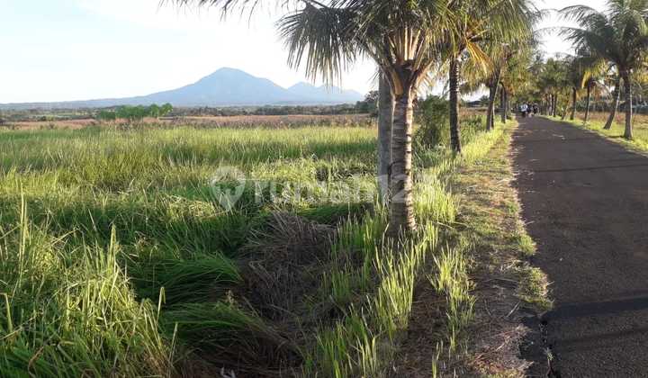 Land for Rent Near Kelecung Selemadeg Beach