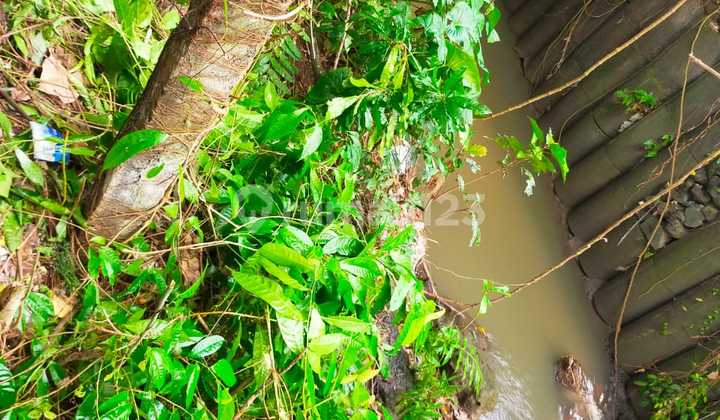 Tanah Murah Munggu View Sungai Cocok Vila Rental 