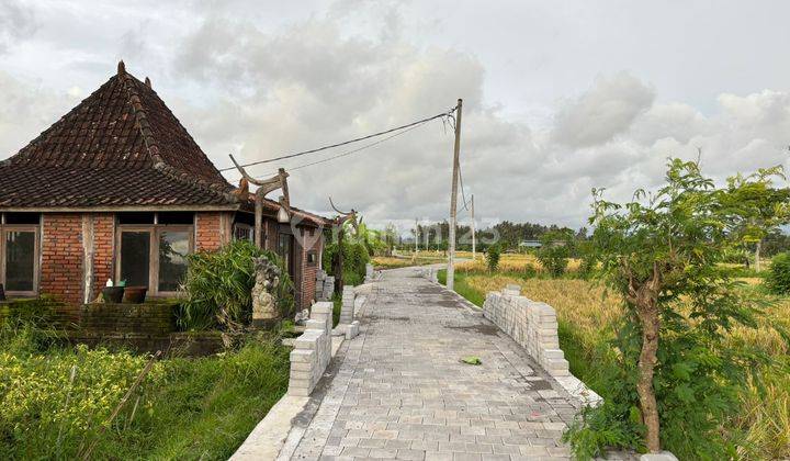 Tanah Bonus Rumah Joglo Siap Huni View Sawah Abadi 1