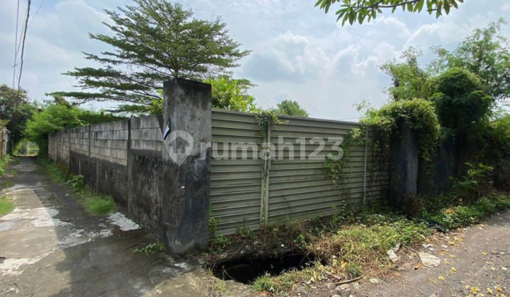 Tanah Dekat Pantai Cocok Vila Rental Harga Murah Tanah Dekat Pantai Cocok Vila Rental Harga Murah