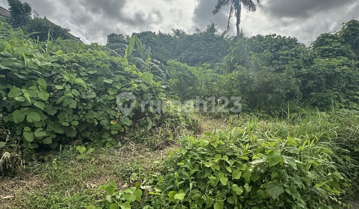 Cheapest Land in Batubulan View River Forest Rice Field Cool