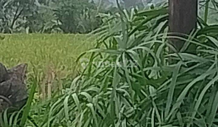 TANAH MURAH UKURAN KECIL COCOK PRIVATE VILLA VIEW SAWAH 2