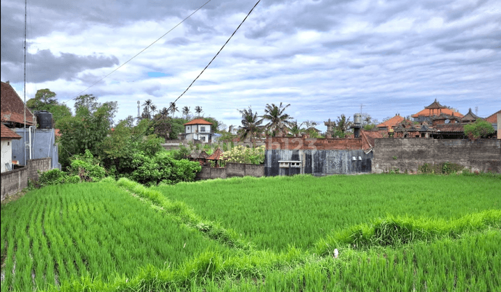 Tanah Sewa View Sungai Sawah Harga Murah Aja  1