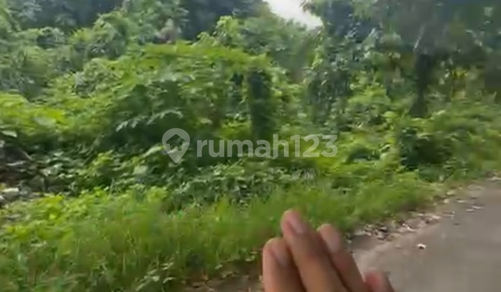 Tanah Sewa Ukuran Kecil untuk Vila Rental di Ubud