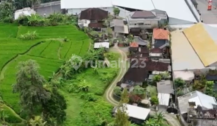 Tanah View Sawah Zona Pink Siap Bangun Vila Rental Tanah View Sawah Zona Pink Siap Bangun Vila Rental