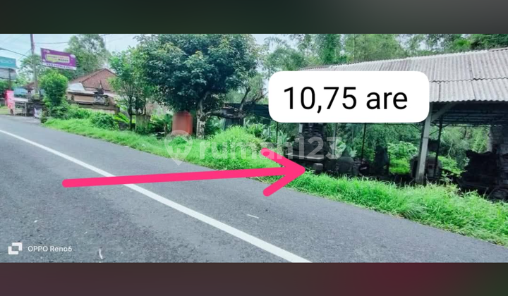 Good Land Ready to Build, Cheap Price, Main Road Good Land Ready to Build, Cheap Price, Main Road