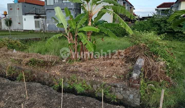 Dijual Tanah di Tukad Badung Lokasi Bagus Strategis Dijual Tanah di Tukad Badung Lokasi Bagus Strategis