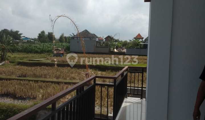 Rumah sewa ukuran besar di Sukawati view sawah lokasi strategis 2