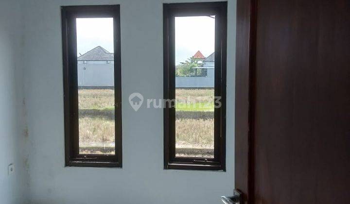 Rumah sewa ukuran besar di Sukawati view sawah lokasi strategis 4