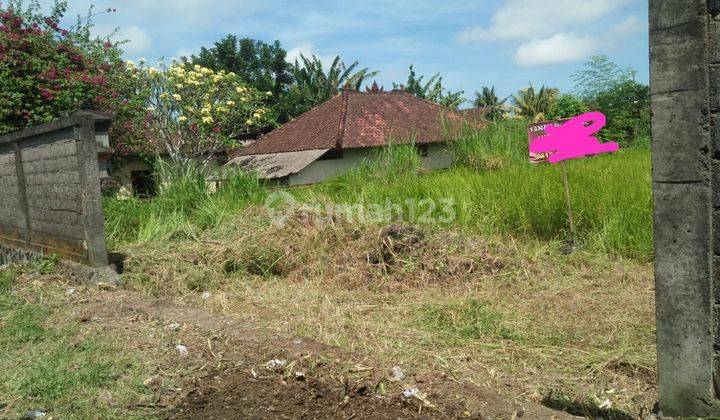 Selling cool land at cheap prices in Ubud with a view of rice fields in a villa environment 1