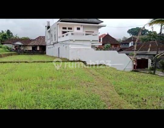 Rumah besar view sawah gunung cantik di tabanan harga murah 2