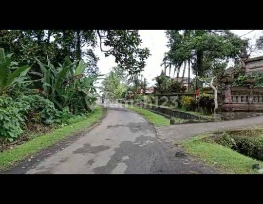 Rumah besar view sawah gunung cantik di tabanan harga murah 3