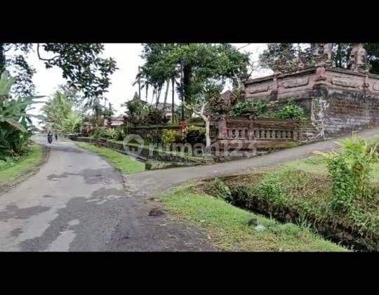Rumah besar view sawah gunung cantik di tabanan harga murah 5
