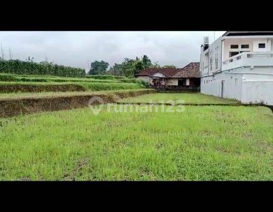 Rumah besar view sawah gunung cantik di tabanan harga murah 9