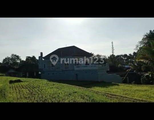 Rumah besar view sawah gunung cantik di tabanan harga murah 10