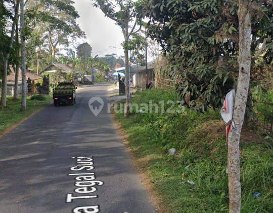 Tanah Pinggir Jalan Raya Sebatu Paling Murah Cocok Villa Atau Restoran Hawa Sejuk 2