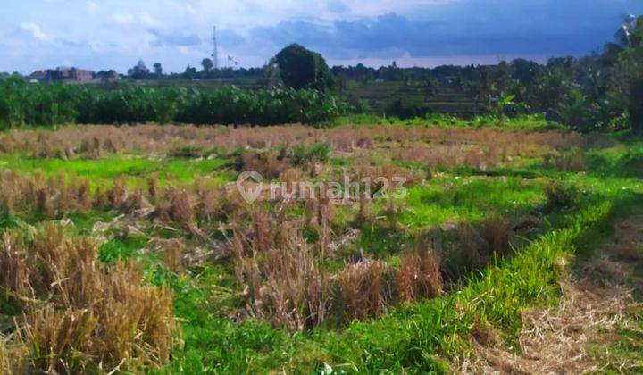 Tanah view sawah terasering lembah super keren cocok untuk villa  1