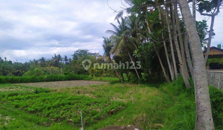 Tanah di jalan pantai saba view sawah gunung lembah paling murah di saba