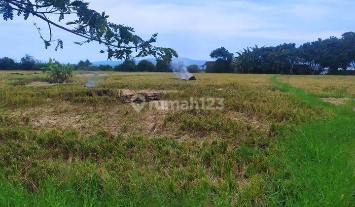 Tanah loss pantai termurah di Gianyar dekat ke denpasar dan kota gianyar 